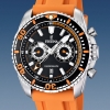 Festina